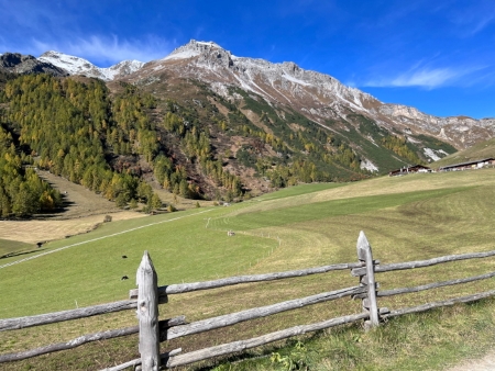 Schliniger Alm Schliniger Alm