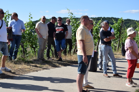 Weinbergwanderung mit anschließendem Beisammensein Weinbergwanderung mit anschließendem Beisammensein