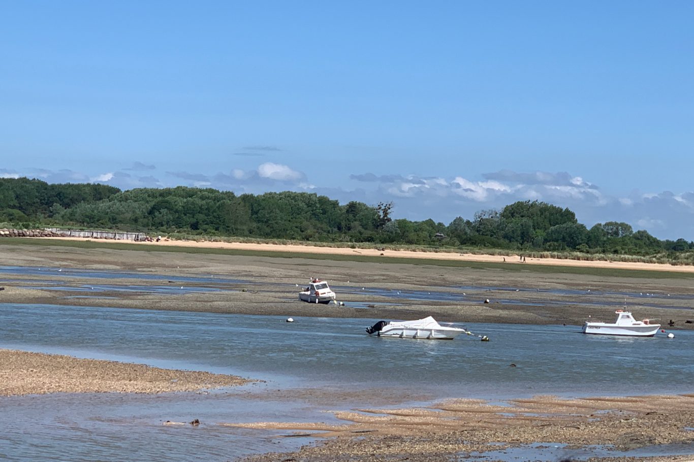 Naturschutzgebiet bei Ebbe Naturschutzgebiet bei Ebbe