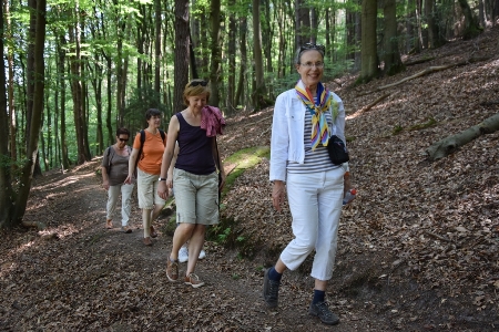 Mainwanderung Mainwanderung