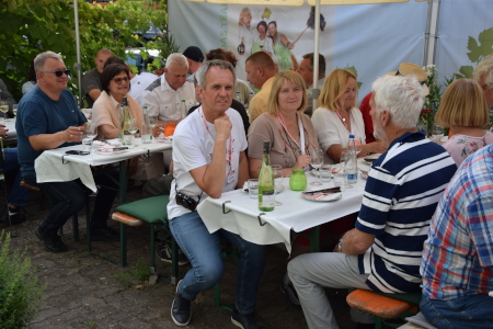 Weinbergwanderung mit anschließendem Beisammensein Weinbergwanderung mit anschließendem Beisammensein