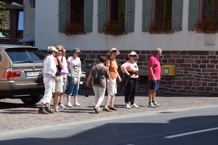 Mainwanderung Mainwanderung